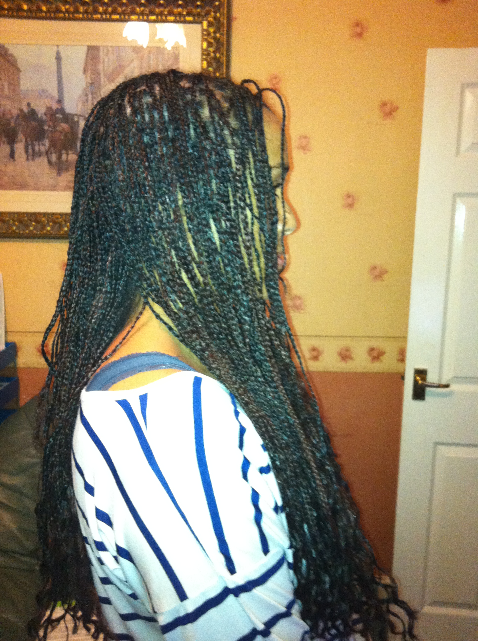 Micro Braids Essex